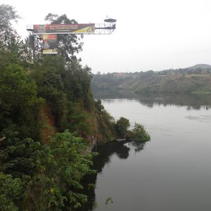 Nile High Bungee