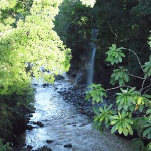 Central American river
