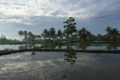 indonesia-2