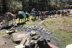 Nepal-4